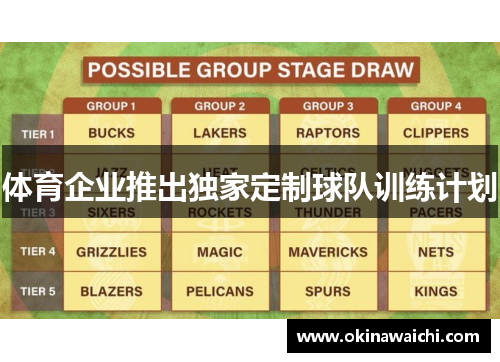 体育企业推出独家定制球队训练计划